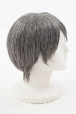 Persona 4 Yu Narukami Wig (Anime Ver.)
