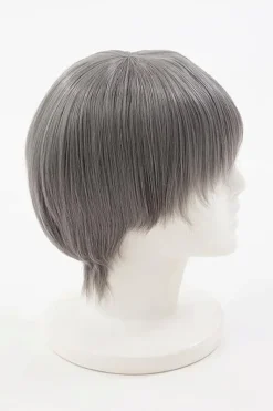 Persona 4 Yu Narukami Wig (Anime Ver.)