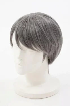 Persona 4 Yu Narukami Wig (Anime Ver.)