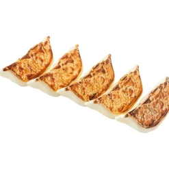 Plastic Model: Gyoza