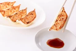 Plastic Model: Gyoza