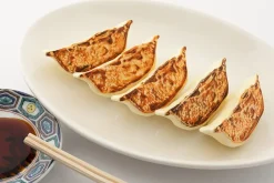 Plastic Model: Gyoza