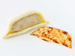 Plastic Model: Gyoza