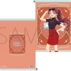 Puella Magi Madoka Magica Clear File