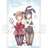 Rascal Does Not Dream of Bunny Girl Senpai Mofufuwa Blanket