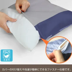 Re:Zero -Starting Life in Another World- Emilia Double-Sided Print Cushion Cover