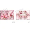 Sakura Miku x Hirohako 2024 Clear File Folder Hirohako