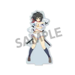 Shinobi Master Senran Kagura: New Link Acrylic Figure Collection Vol. 1