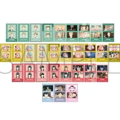 Spy x Family Peta Collection Colla Photo Clear Ver. Box Set
