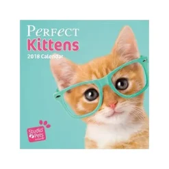 Stdudio Pets Cat 2018 Calendar