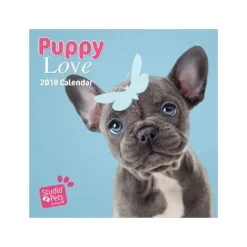 Stdudio Pets Dog 2018 Calendar