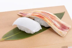 Sushi Plastic Model: Anago