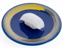 Sushi Plastic Model: Squid