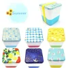 temahima -atelier saison- Summer Lunch Box Collection