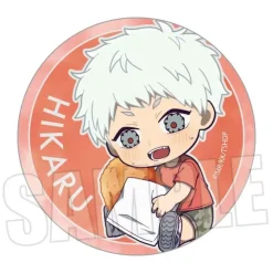 The Summer Hikaru Died Trading Tin Badge Gyugyutto Box Set