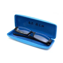 Toho Megane - Rinnosuke Morichika Model