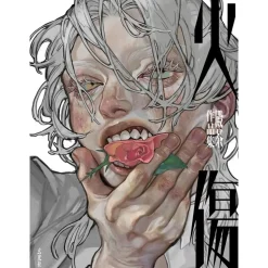 Tonocha Illustration Book: Yakedo