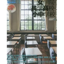 Visual Background Data 1: Girls' High School, Coed High School, Elementary & Middle School